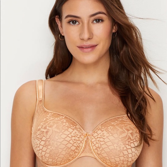 Empreinte 32D Melody 0786 Seamless Full Cup Underwire Bra in Caramel EUC - Picture 2 of 16